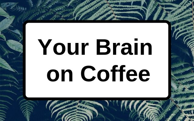 Your Brain on Coffee: How Caffeine Affects Brain Chemistry